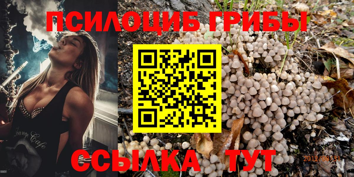 Псилоцибиновые грибы мицелий Ангарск