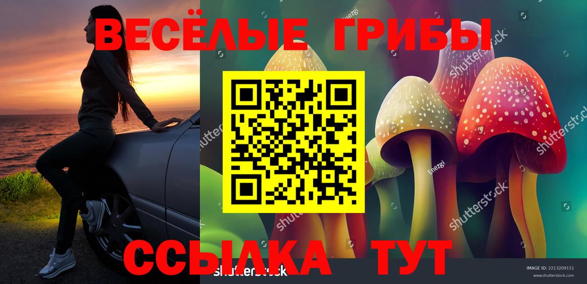 Галлюциногенные грибы Ангарск