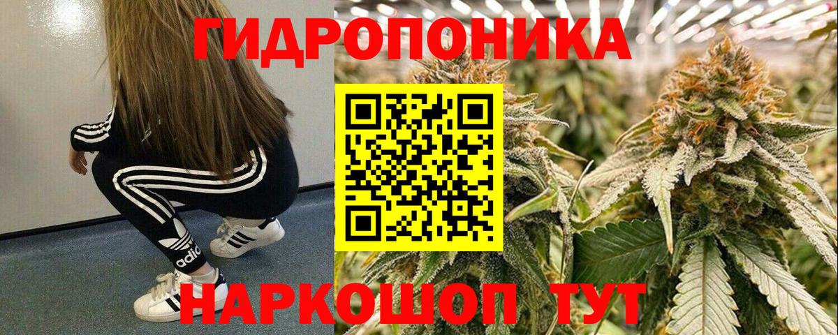 Канабис планчик  Канабис тримм  Ангарск  Вход с VPN  Конопля план 